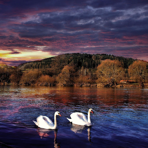 Hd-164485-ascw164485