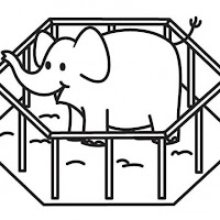 elefante-en-jaula-t18133.jpg