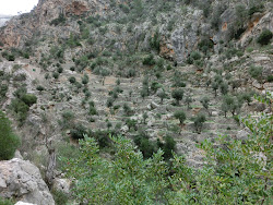 2012-10-20 Mallorca by BREITENGRAD53 - 097