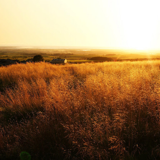 Hd-138093-ascw138093