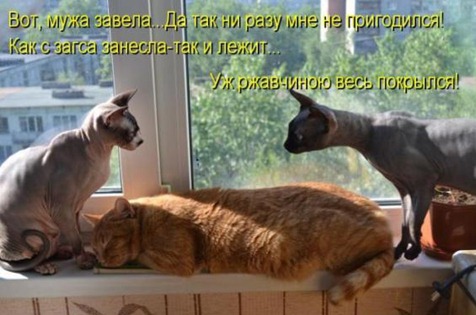 [10bc05370bdc833ee8283802a0b_prev%255B3%255D.jpg]