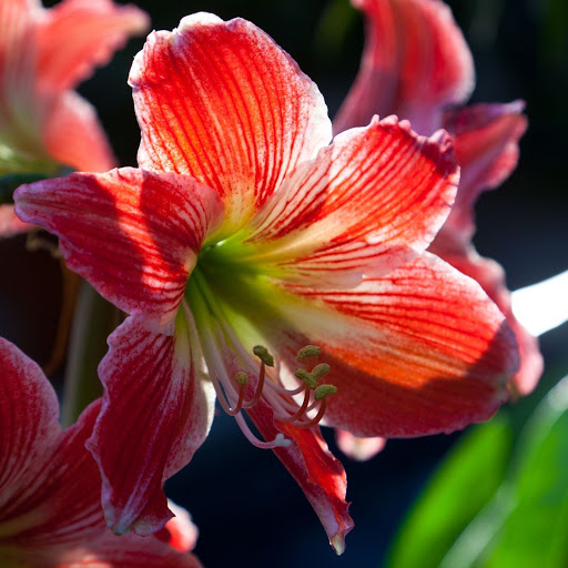 Hd-142405-ascw142405