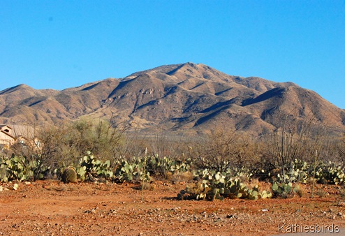 1. mt. fagan-kab