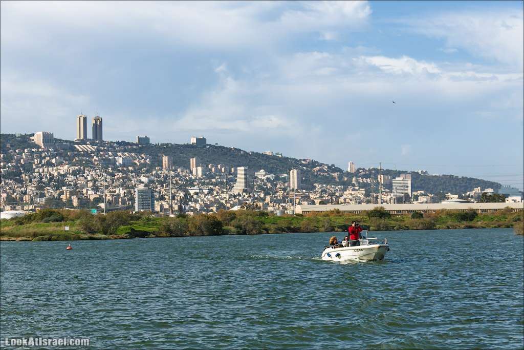LookAtIsrael.com - Восстановление реки Кишон | Recovering Kishon river | שיחזור נחל קישון
