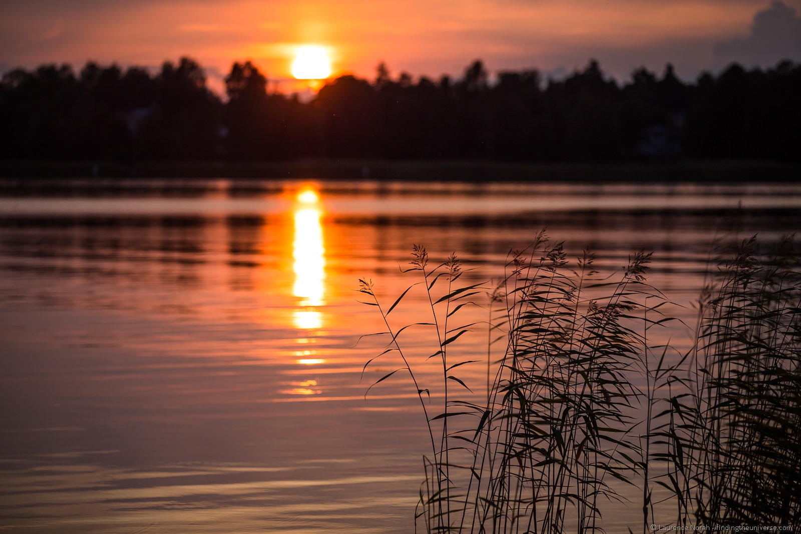 [sunset-reeds-Finland7.jpg]
