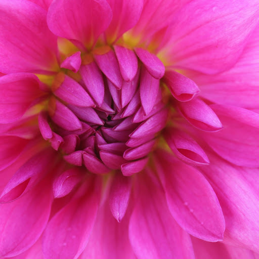 Hd-156039-ascw156039