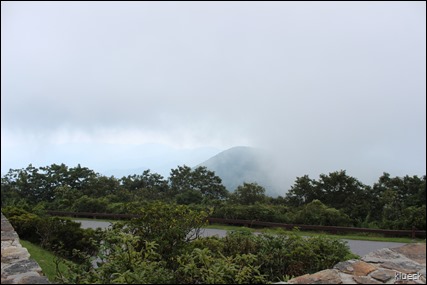 Brasstown Bald foggy