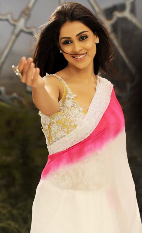[Genelia_in_saree_hot%255B3%255D.jpg]