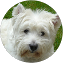 susan warburton profile picture