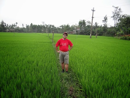 22. Orezarie Vietnam.JPG
