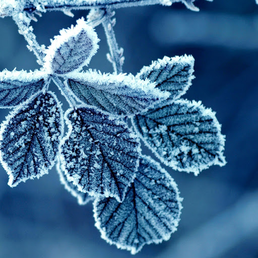 Hd-178842-ascw178842