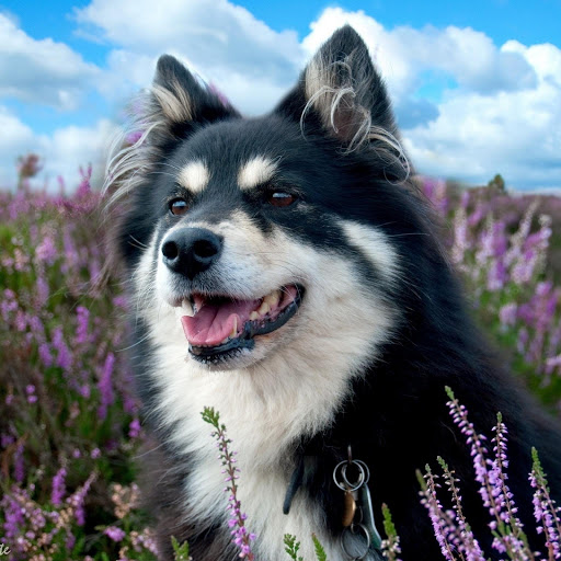 Hd-134666-ascw134666