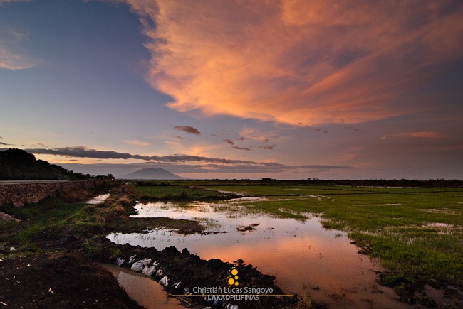 Candaba Swamp, Pampanga