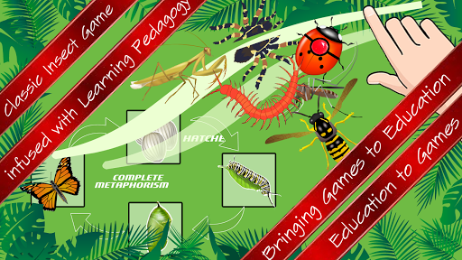 Insects Slice N Learn