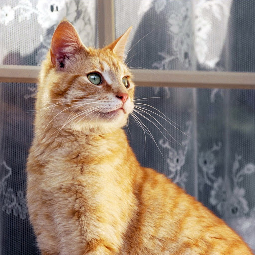 Hd-180748-ascw180748