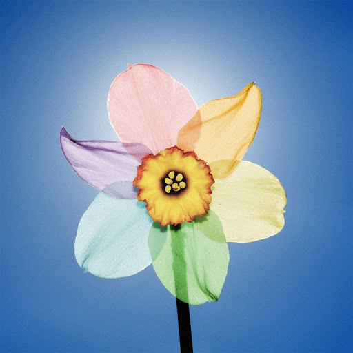 Hd-135486-ascw135486