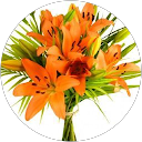 Image Google de Julie PeB