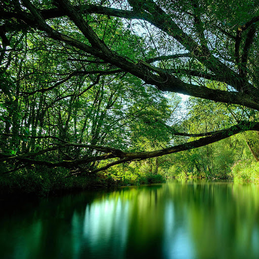 Hd-141463-ascw141463