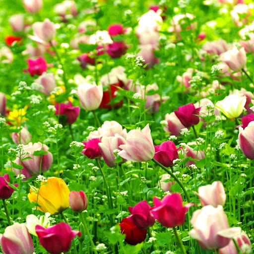 Hd-146346-ascw146346