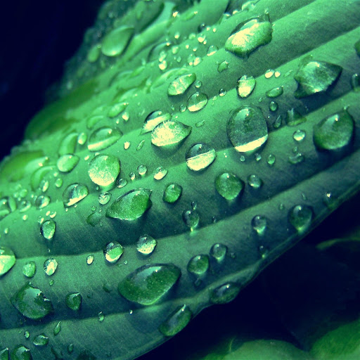 Hd-179313-ascw179313