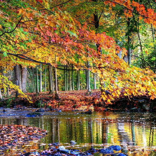 Hd-151971-ascw151971