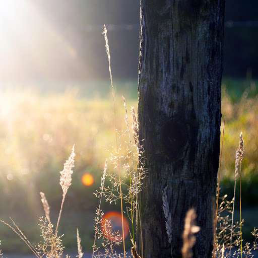 Hd-170703-ascw170703