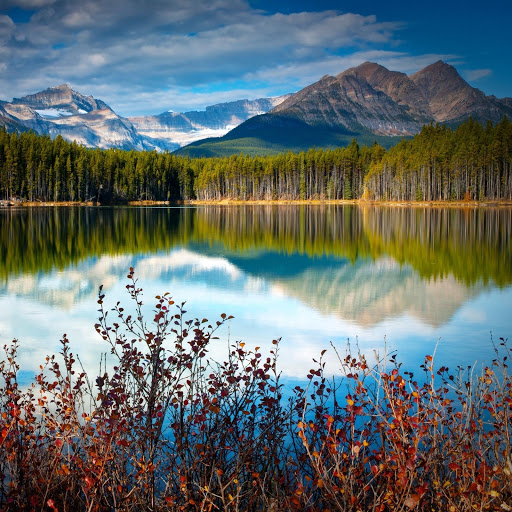 Hd-151902-ascw151902