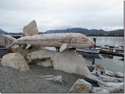 another view of the sturgeon