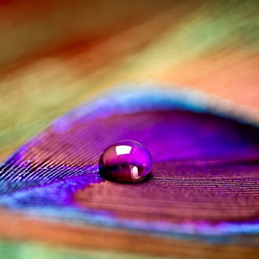 Hd-134131-ascw134131