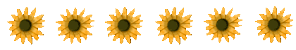 [sunflowers%2520divider%255B6%255D.gif]