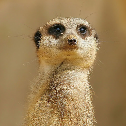 Hd-138024-ascw138024