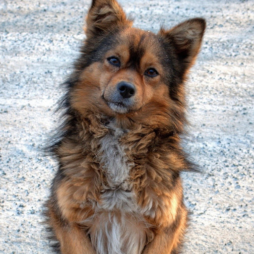 Hd-156965-ascw156965