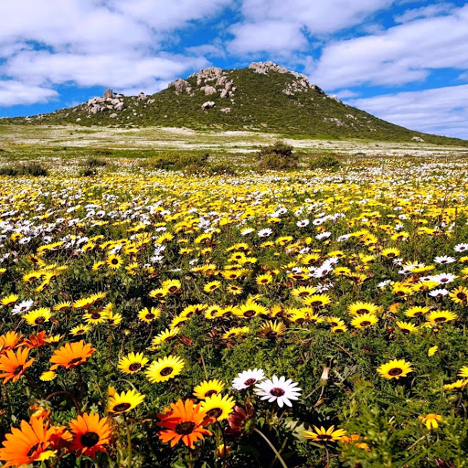 Hd-142061-ascw142061