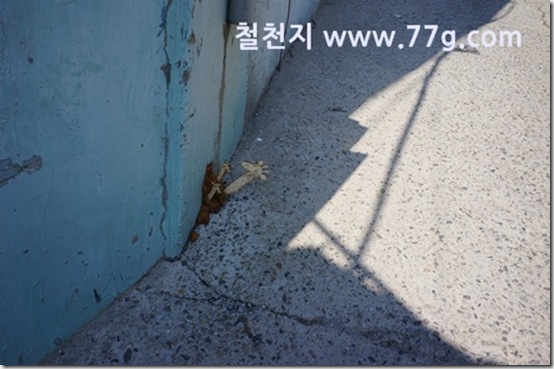 77gDSC09369-20130412-100010