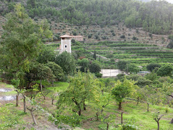 2012-10-20 Mallorca by BREITENGRAD53 - 099