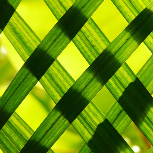 Hd-179817-ascw179817