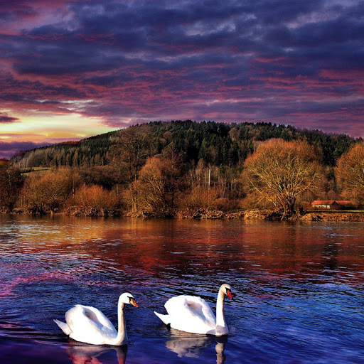 Hd-182059-ascw182059