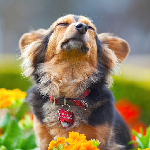 Hd-162069-ascw162069