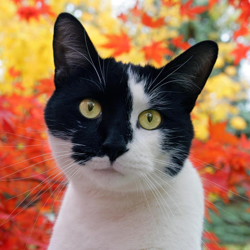 Hd-182502-ascw182502