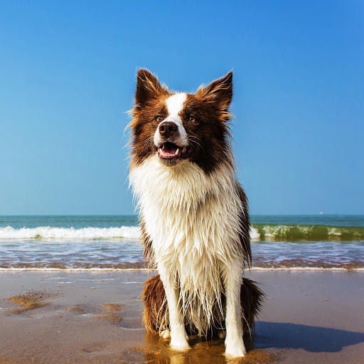 Hd-151143-ascw151143