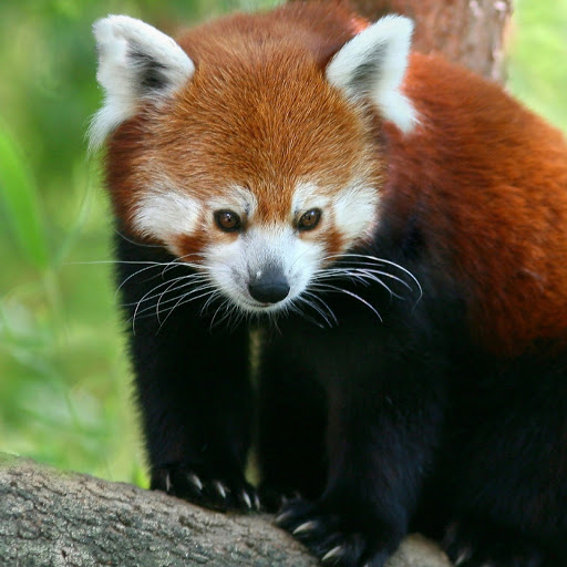 Hd-180375-ascw180375