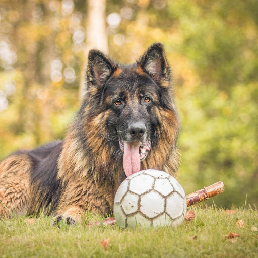 Hd-174809-ascw174809