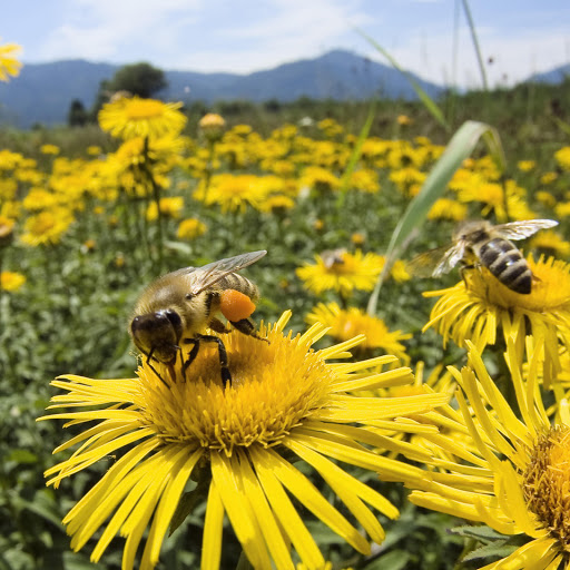 Hd-156649-ascw156649