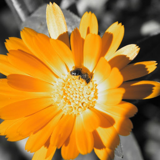 Hd-141862-ascw141862