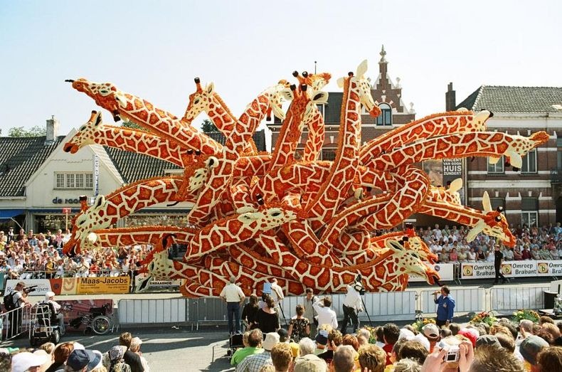 bloemencorso-15 bloemencorso-15