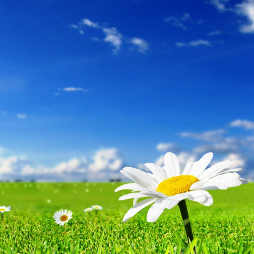 Hd-145468-ascw145468