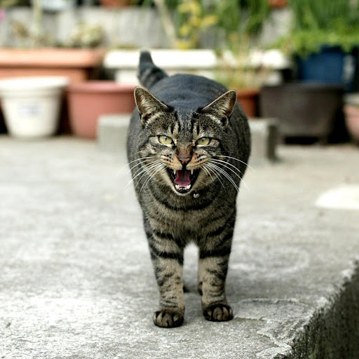 Hd-178490-ascw178490