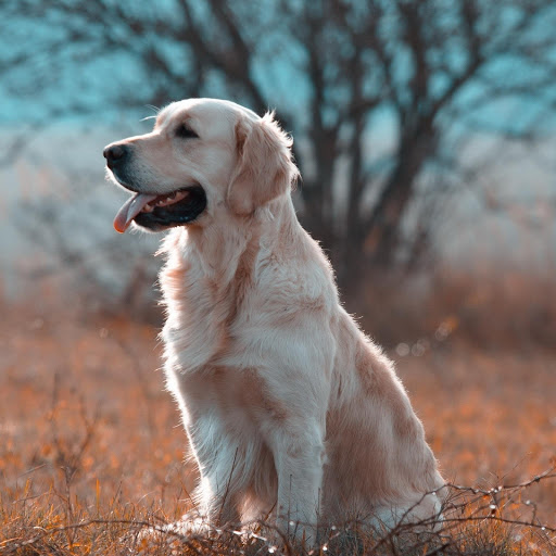 Hd-175859-ascw175859