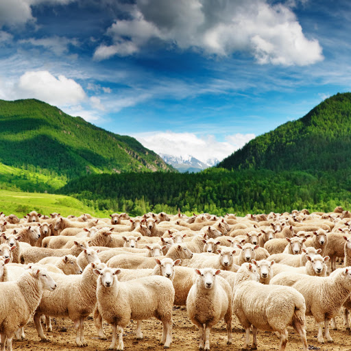 Hd-166821-ascw166821