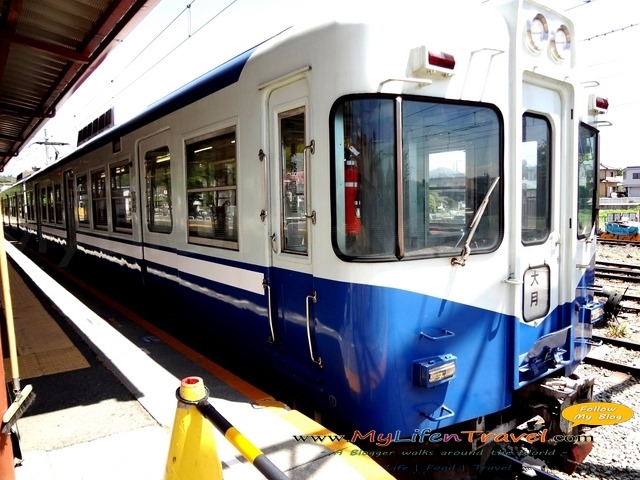 Fujikyu Railway 02